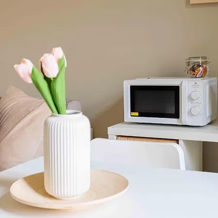 Apartamento -politecnico - Porta Susa- Loft Con Wi-fi E A-c Turim