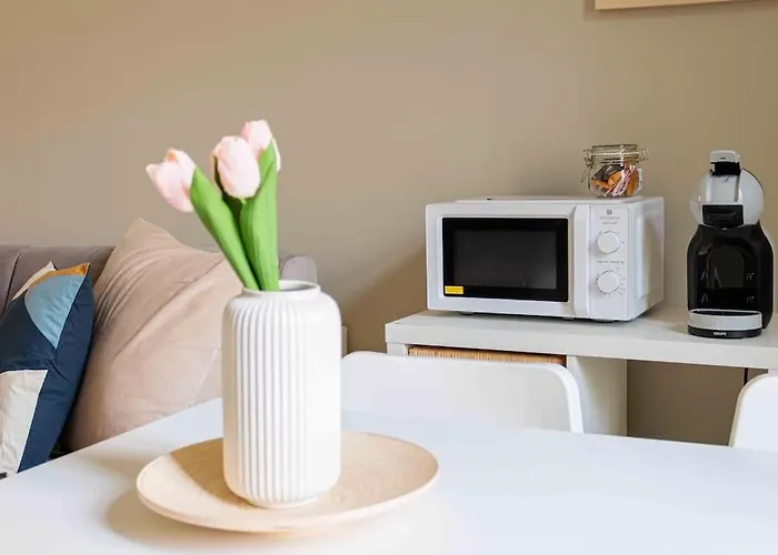 Apartmán -politecnico - Porta Susa- Loft Con Wi-fi E A-c Turín